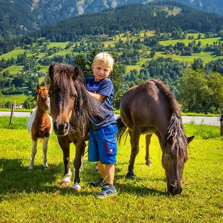 Bio Bauernhof Schweizerhof Alojamento de Turismo Rural Bad Hofgastein