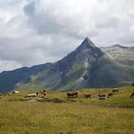 Bio Bauernhof Schweizerhof ファームステイ バート・ホーフガシュタイン