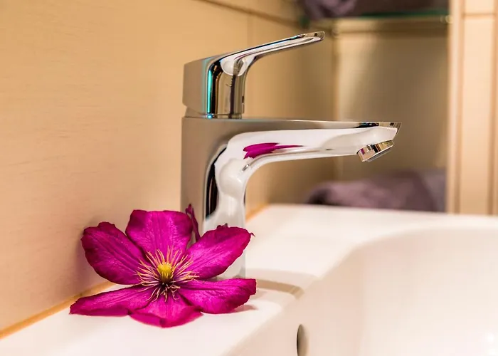 农家乐 Bio Bauernhof Schweizerhof *