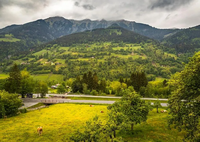 Bio Bauernhof Schweizerhof 农家乐