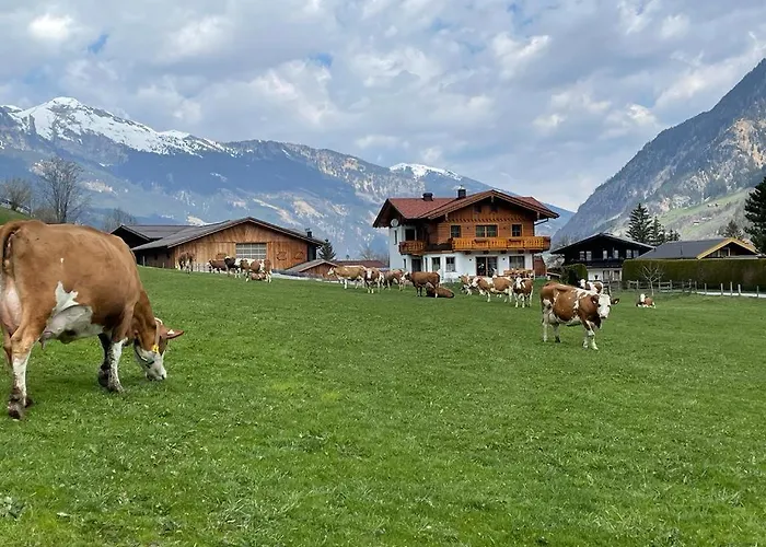 Bio Bauernhof Schweizerhof 农家乐 *