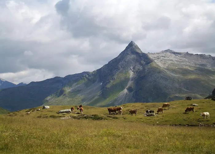 Bio Bauernhof Schweizerhof 农家乐 巴特霍夫加施泰因