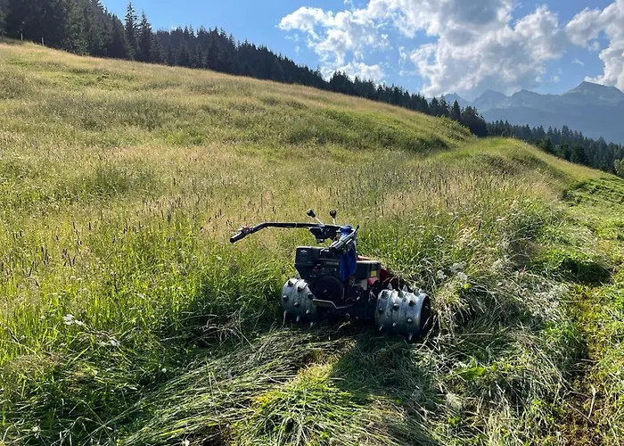 Bio Bauernhof Schweizerhof 巴特霍夫加施泰因